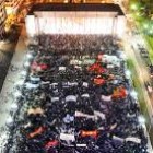 Una multitud en el Monumento a la Bandera