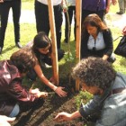 Árboles por la memoria, la verdad y la justicia