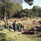 Las excavaciones en este cuartel de la policía paraguaya empezaron en el 2009 y ya se encontraron 15 esqueletos humanos por identificar.